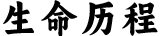 生命历程